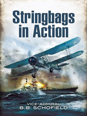 cover image of Stringbags in Action